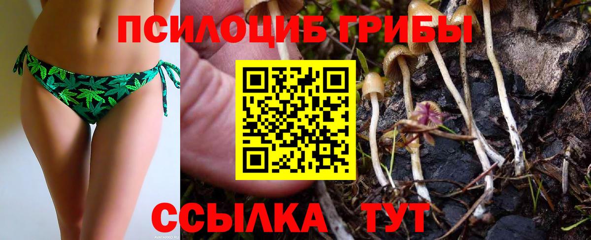 Псилоцибиновые грибы мухоморы Новосибирск